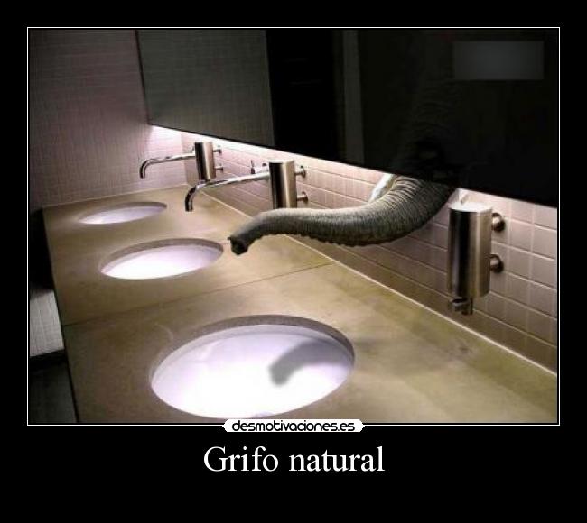 Grifo natural - 