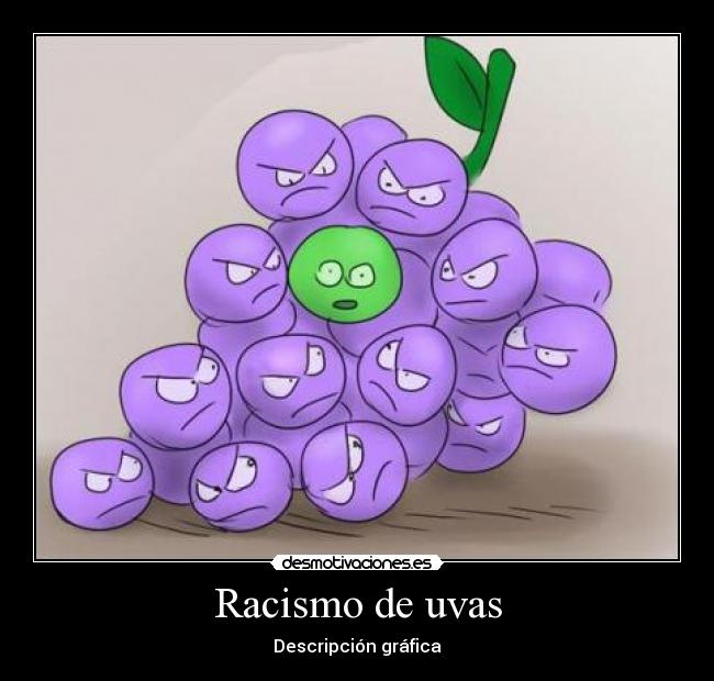 Racismo de uvas - Descripción gráfica