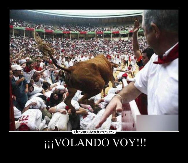 ¡¡¡VOLANDO VOY!!! -