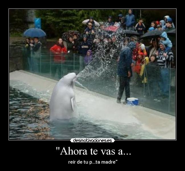 Ahora te vas a... -