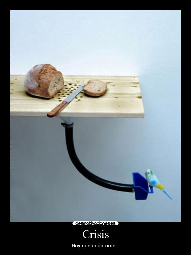 Crisis - 