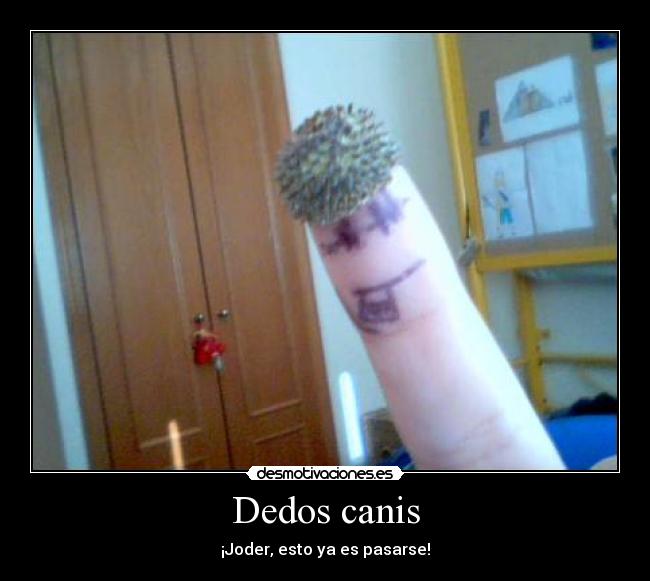 Dedos canis - 