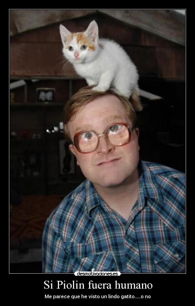 carteles piolin desmotivaciones