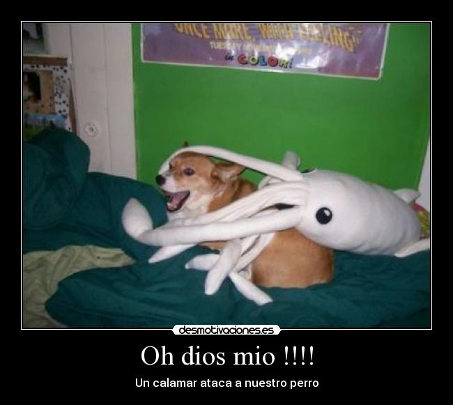 Oh dios mio !!!! -
