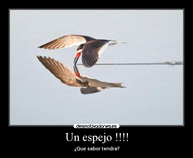 Un espejo !!!! - ¿Que sabor tendra?