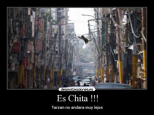 Es Chita !!! -