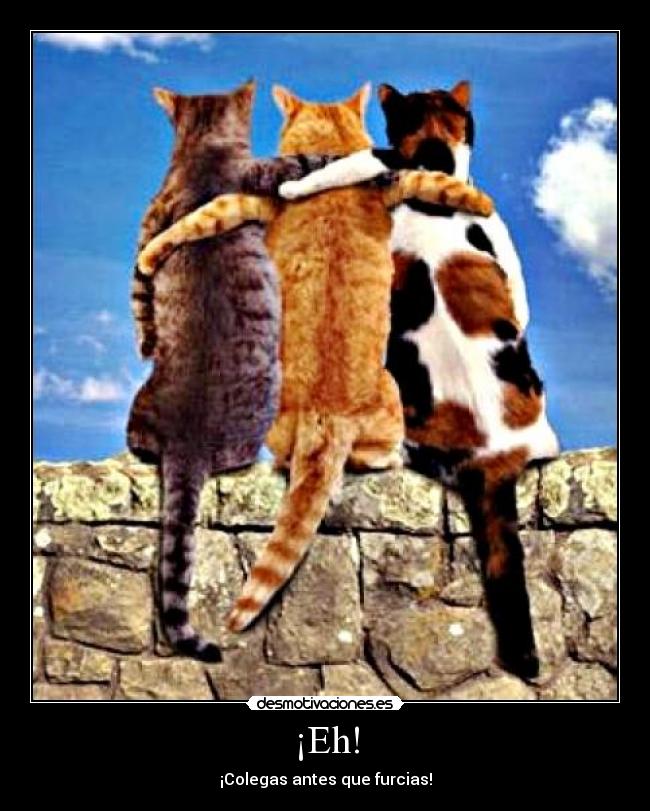 ¡Eh! - ¡Colegas antes que furcias!