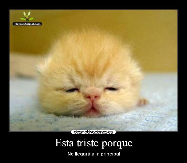 Esta triste porque -