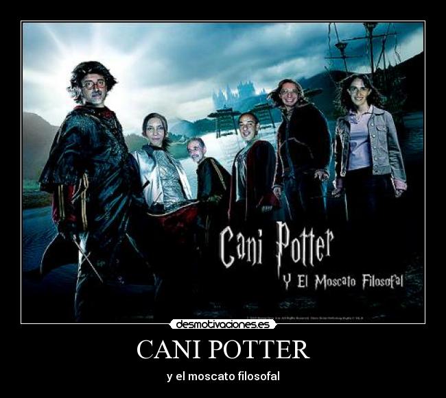 CANI POTTER -