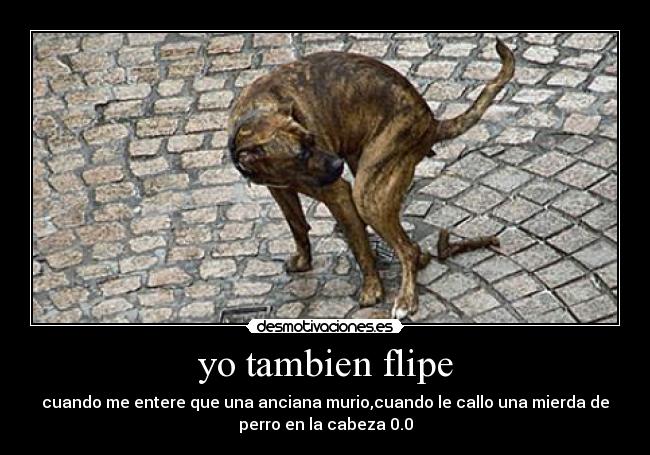 yo tambien flipe - 