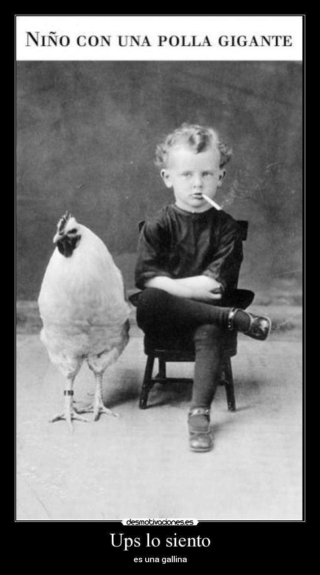 Ups lo siento - es una gallina