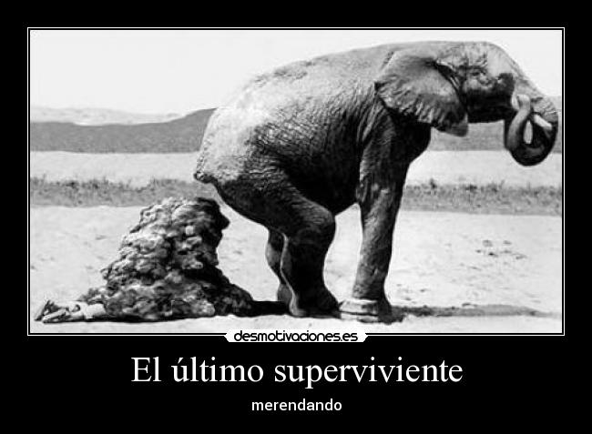 El último superviviente -