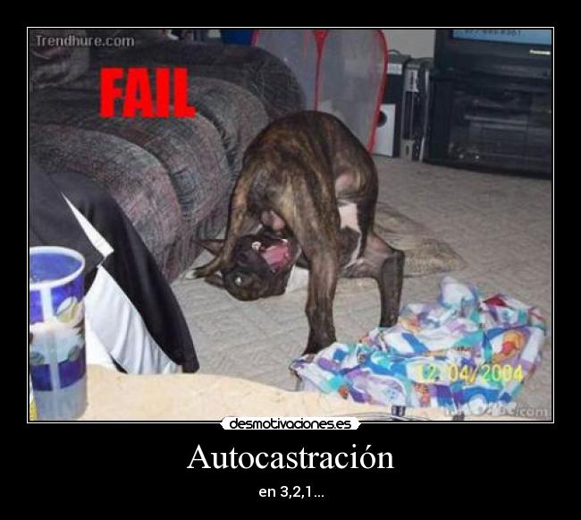 Autocastración - en 3,2,1...