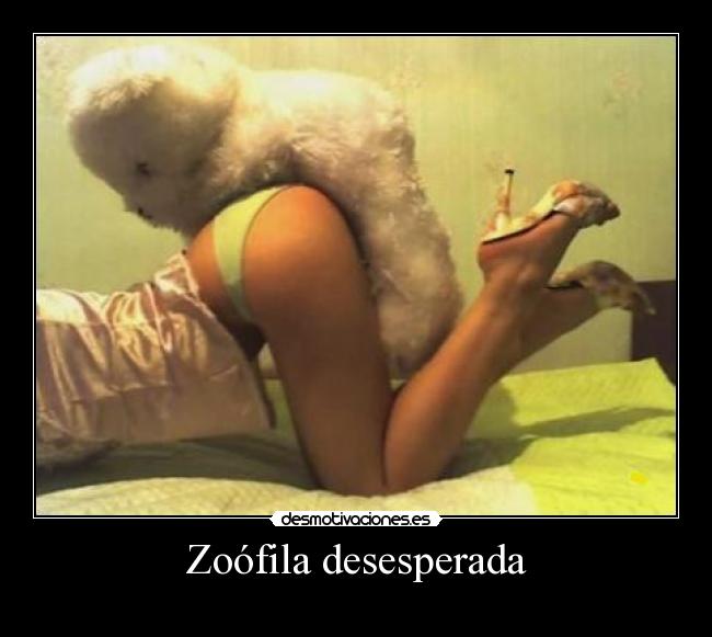 carteles zoofila desmotivaciones