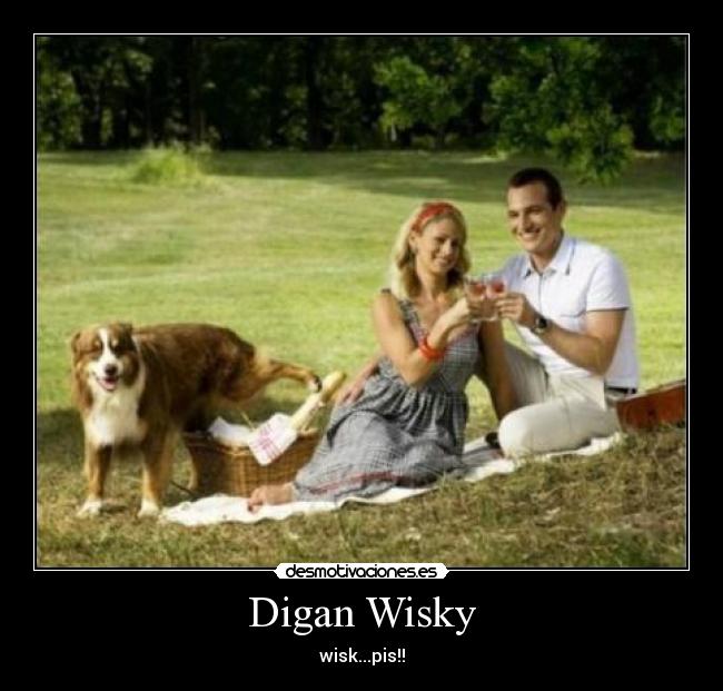 Digan Wisky - wisk...pis!!