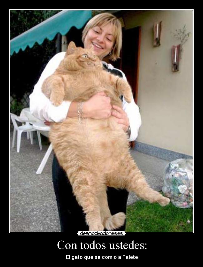 Con todos ustedes: - El gato que se comio a Falete