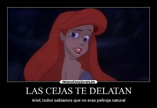 LAS CEJAS TE DELATAN -