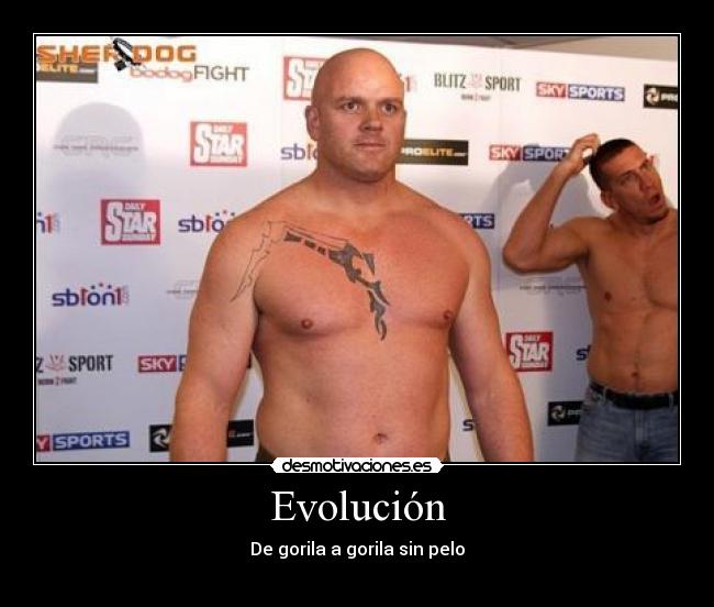 Evolución -