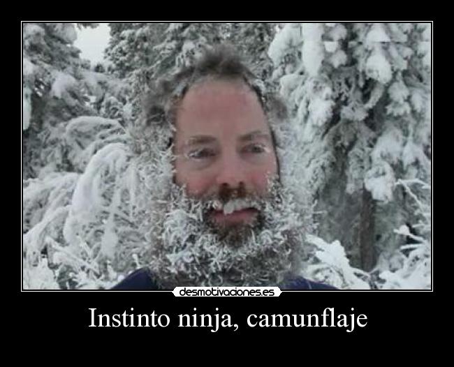 carteles ninjas desmotivaciones