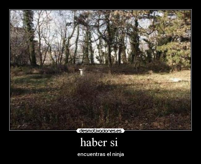 haber si - encuentras el ninja