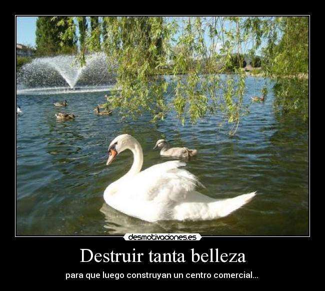 Destruir tanta belleza - para que luego construyan un centro comercial...