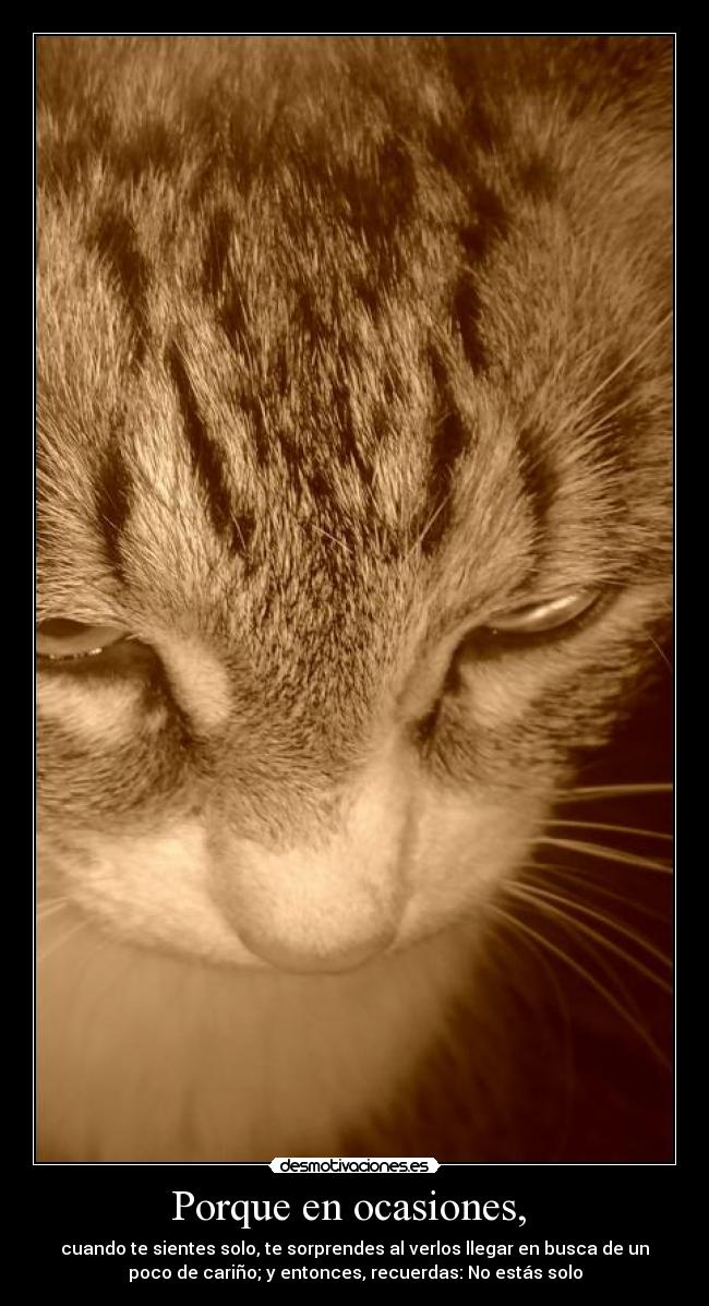 Porque en ocasiones,  - 