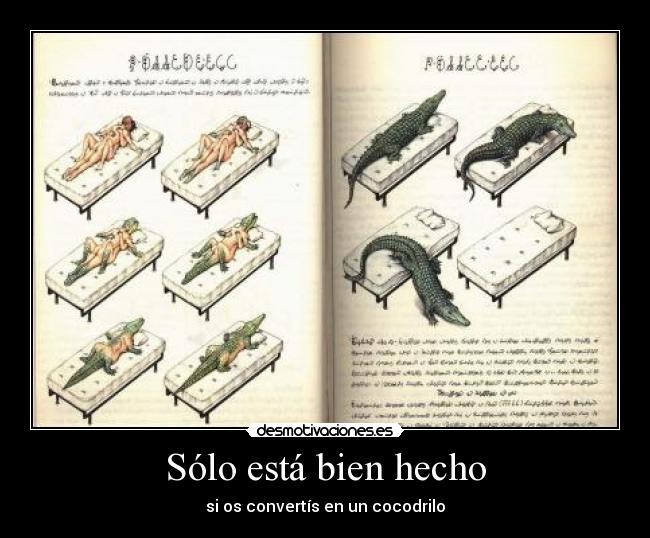 Sólo está bien hecho - si os convertís en un cocodrilo