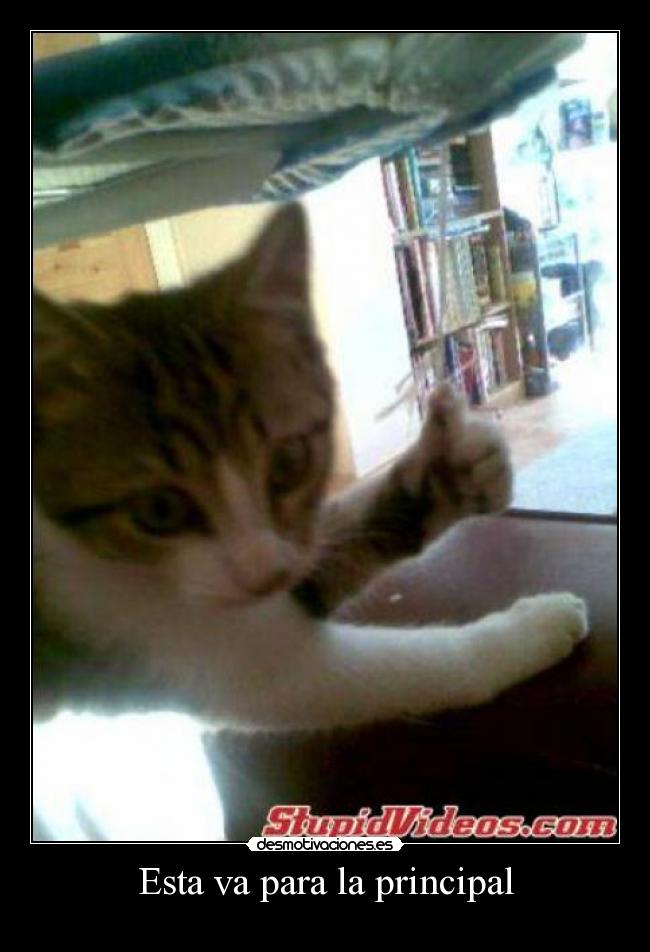 carteles  desmotivaciones