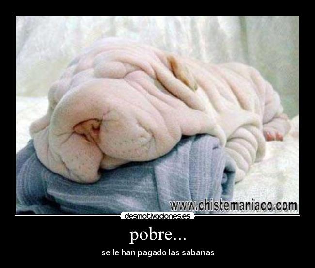 pobre... - se le han pagado las sabanas