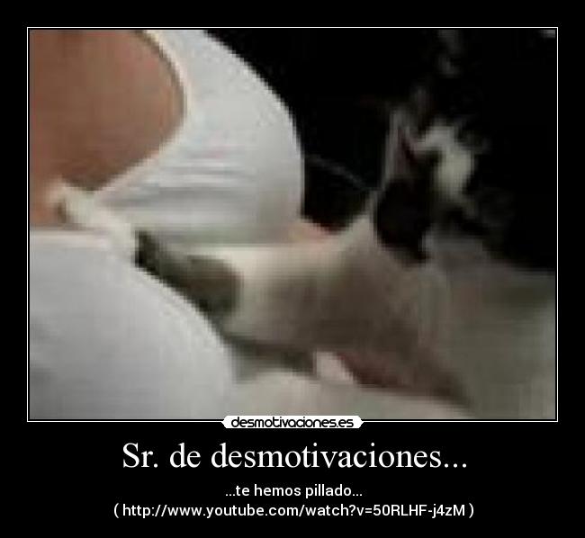 Sr. de desmotivaciones... -