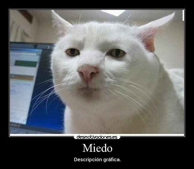 Miedo - Descripción gráfica.