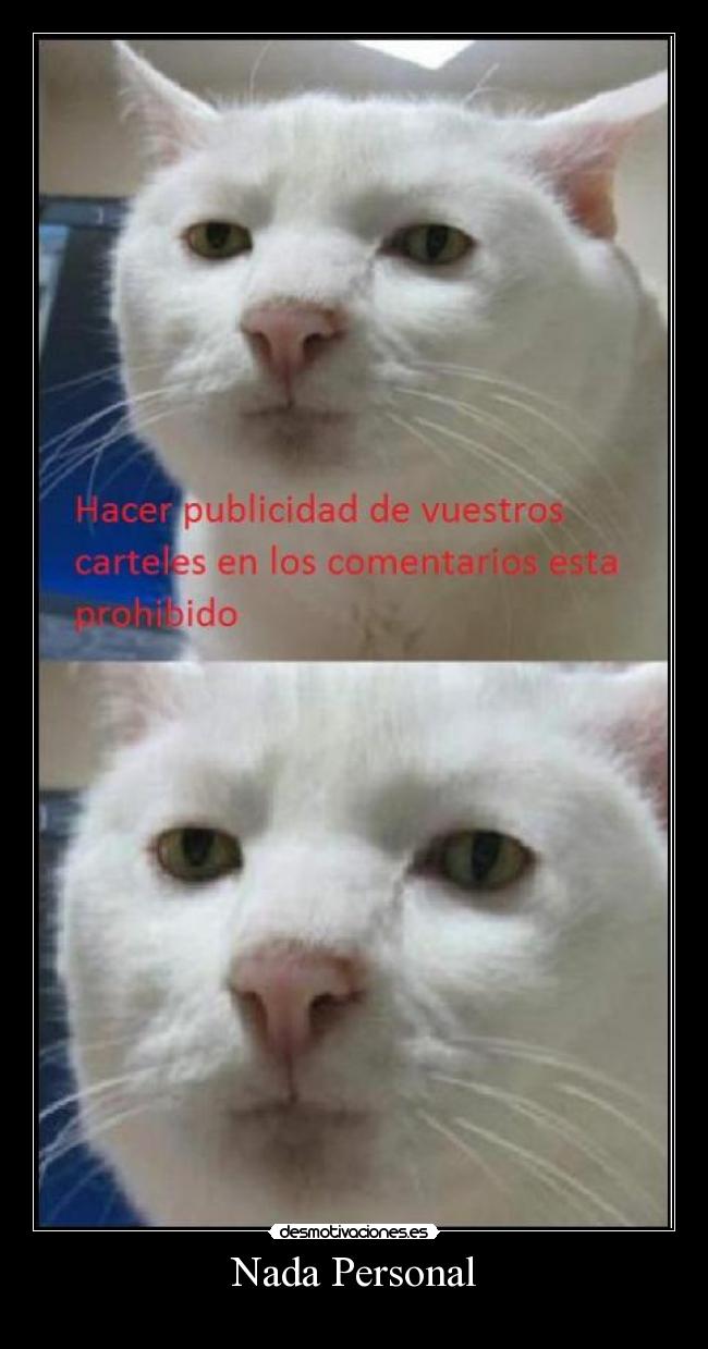 carteles desmotivaciones gatospublicidad nada personal prohibido desmotivaciones
