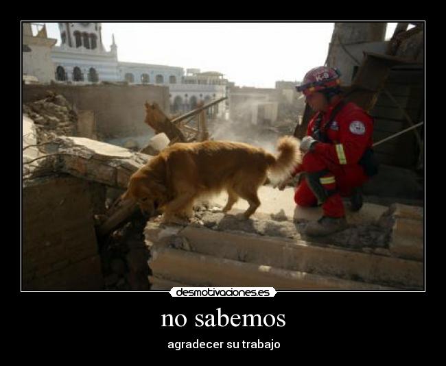 no sabemos - 