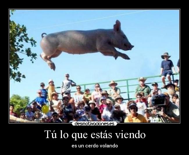 Tú lo que estás viendo -