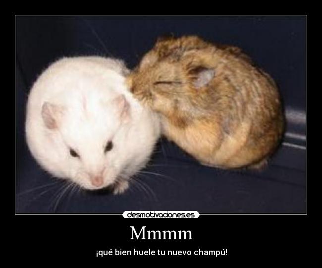 Mmmm - ¡qué bien huele tu nuevo champú!