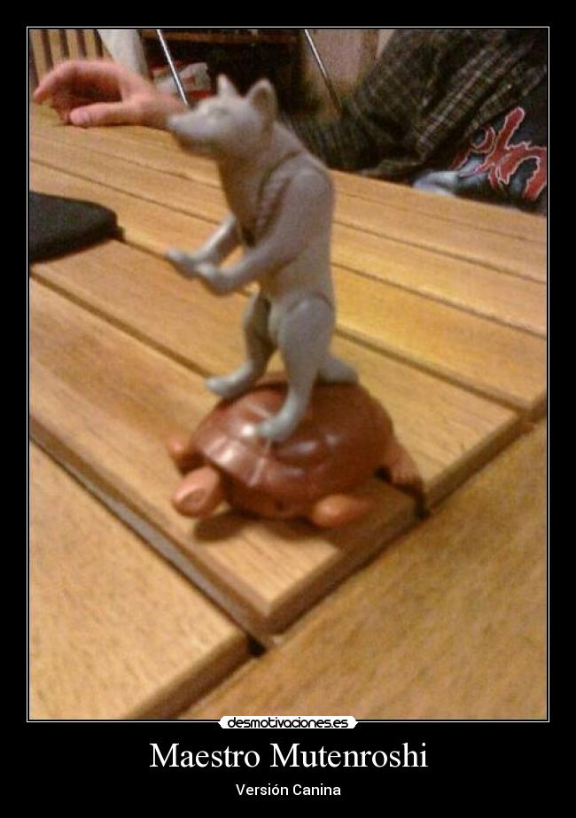 Maestro Mutenroshi - 