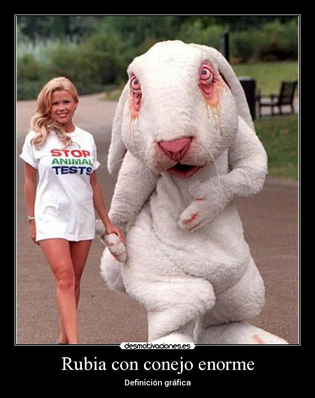 carteles rubia conejo desmotivaciones