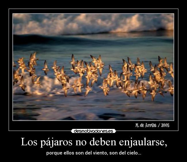 Los pájaros no deben enjaularse, - porque ellos son del viento, son del cielo...