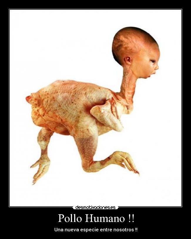 Pollo Humano !! - 