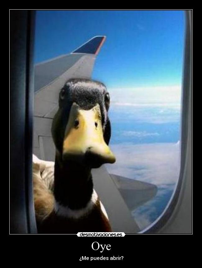 Oye - ¿Me puedes abrir?