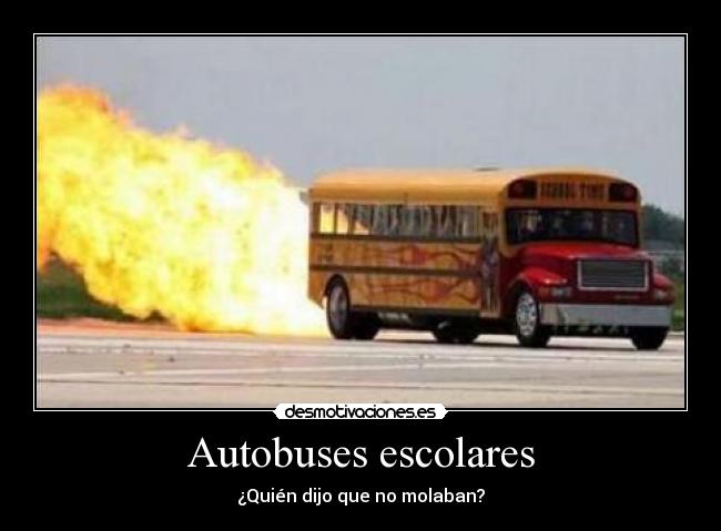 Autobuses escolares - 