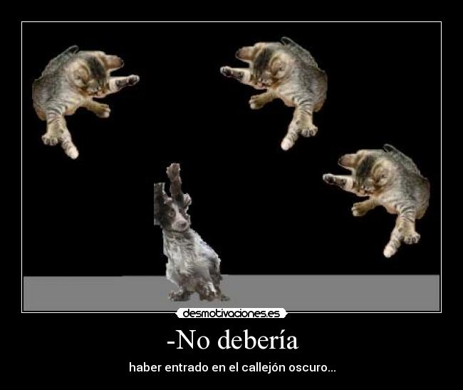 -No debería - haber entrado en el callejón oscuro...