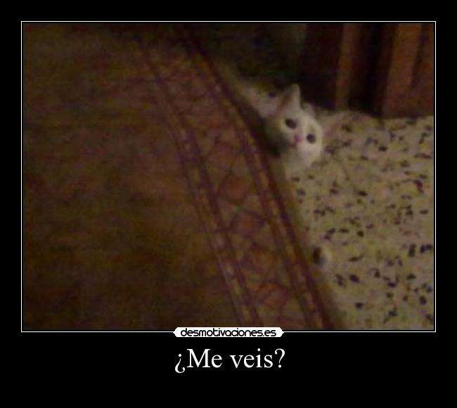 ¿Me veis? -