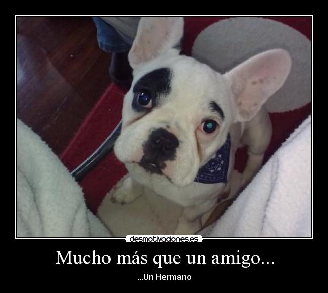 Mucho más que un amigo... - ...Un Hermano