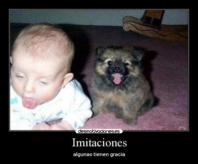 Imitaciones - 