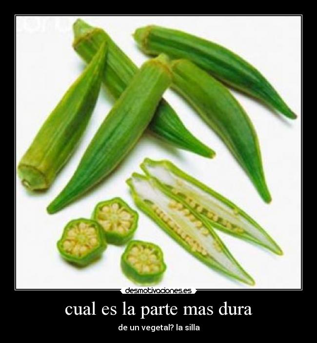 cual es la parte mas dura -