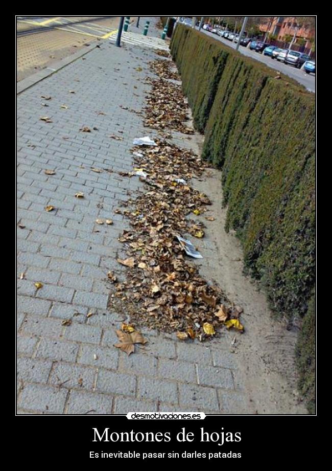Montones de hojas - Es inevitable pasar sin darles patadas