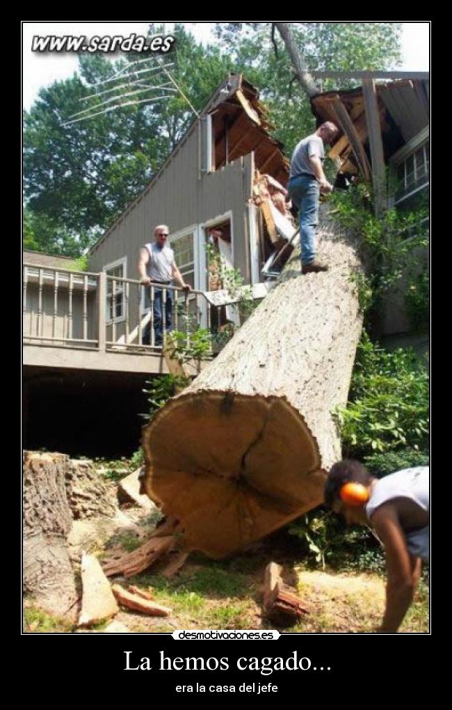 La hemos cagado... -