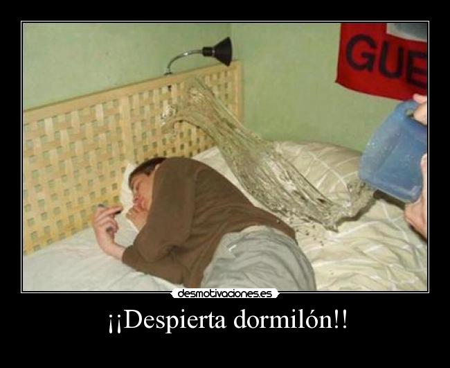 ¡¡Despierta dormilón!! -