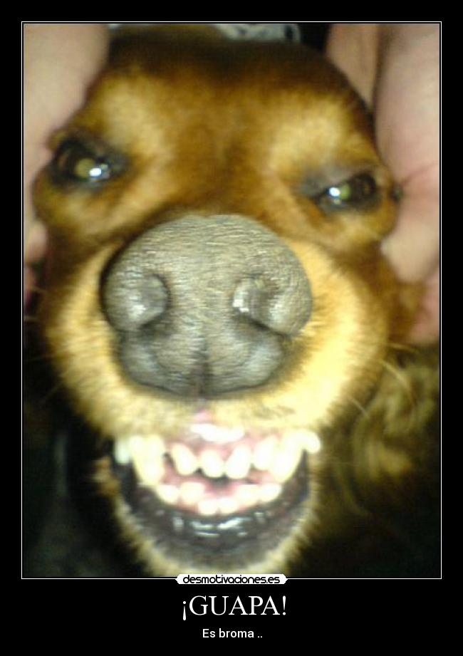 ¡GUAPA! - Es broma ..